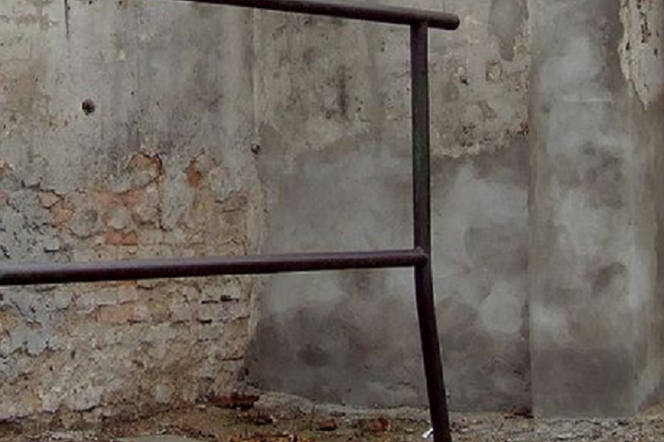 3,5-letnia dziewczynka z Jeleniej Góry zmarła po przygnieceniu przez trzepak. Oskarżony pracownik ZGKiM