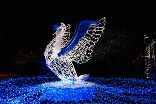 Magiczny Botaniczny w Warszawie - edycja 2023/24