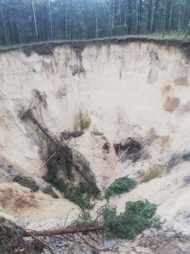 W trakcie grzybobrania zauważył gigantyczne zapadlisko. W lesie jest ich 80!