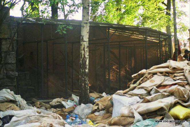 Zabezpieczanie zoo przed powodzią w 1997 roku