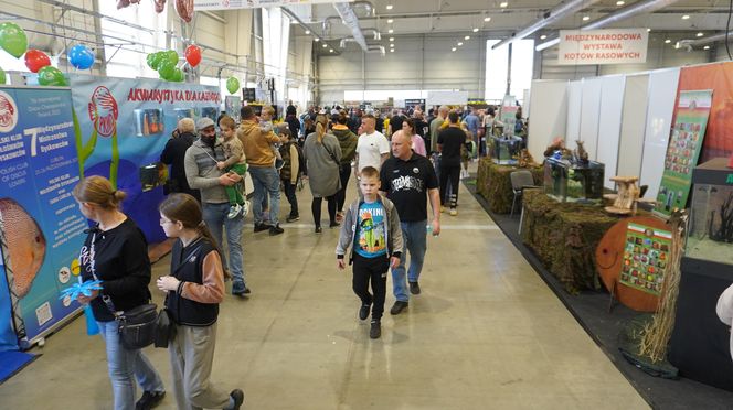 ZOOPARK w Lublinie. „Postawiliśmy na polski las. Chcemy promować nasze zwierzątka”