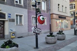 W Olsztynie można dobrze się bawić za darmo. Na te atrakcje nie wydasz ani grosza!