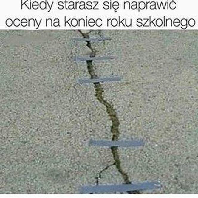 Najlepsze memy z okazji zakończenia roku szkolnego! 