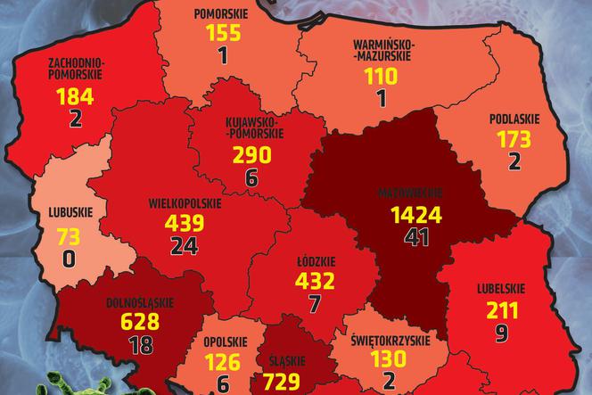 Koronawirus w Polsce. Najnowsze dane 10.04 godz. 10