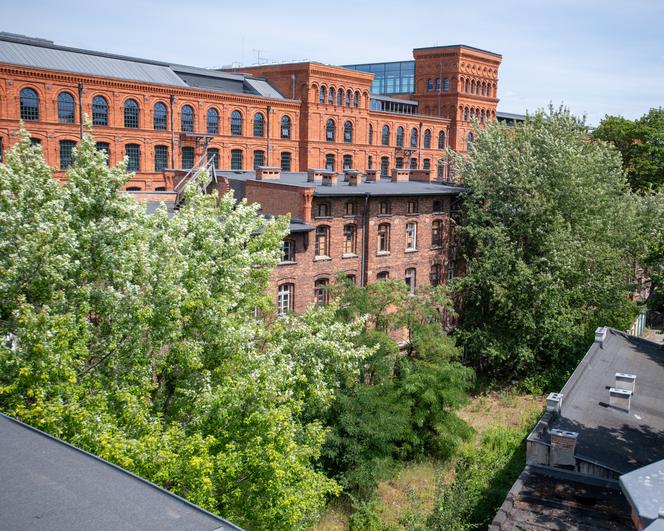 Famuły Poznańskiego ul. Ogrodowa Łódź