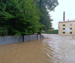 Zagrożenie powodziowe. Głuchołazy. Woda przelała się przez wały. Zalewa miasto