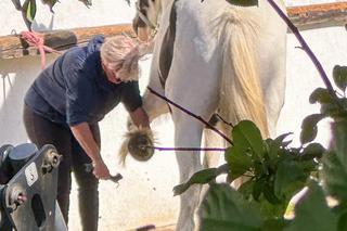 Kluzik gotowa na polityczny galop