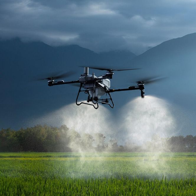 dron