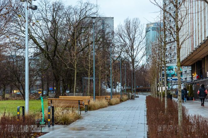 Zielona Marszałkowska między placem Bankowym a ul. Królewską