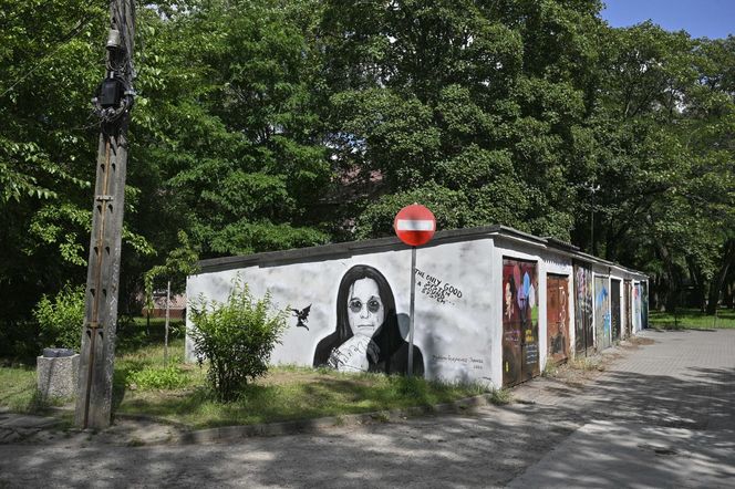 Ozzy Osbourne na Osiedlu Przyjaźń. Wyjątkowy portret "Księcia Ciemności"