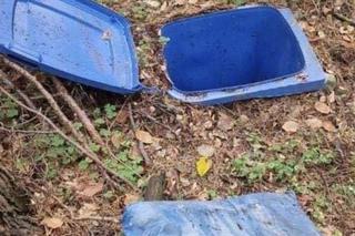 Nowe ślady Grzegorza Borysa w lesie. Ujawniono nieznane dotąd zdjęcia