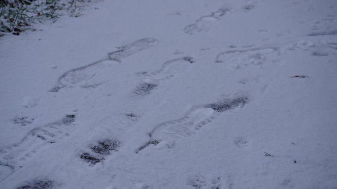 No i przyszła! Zima w Lublinie. Tak wygląda Park Rury