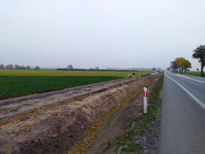 Budowa dróg w Polsce. Listopad 2020