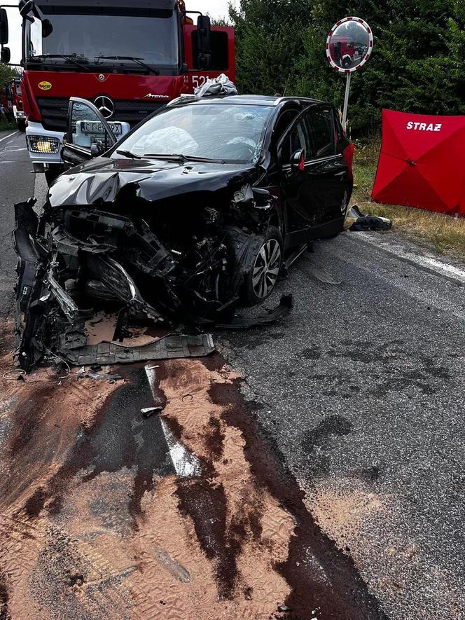 Tragiczne zderzenie trzech aut na DK 25! Zginęła 64-letnia pasażerka [ZDJĘCIA]