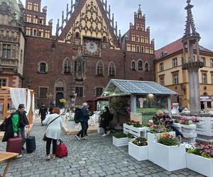 Jarmark Świętojański już działa! Zobacz, jak wygląda teraz wrocławski Rynek