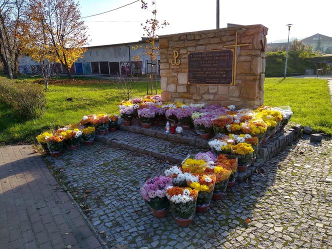 Chryzantemy ozdobiły Starachowice