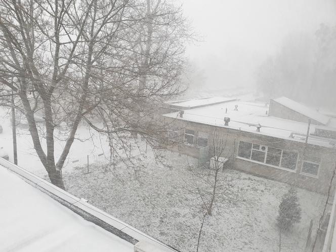 Śnieżyca i wichury atakują Toruń. Wymowne zdjęcia