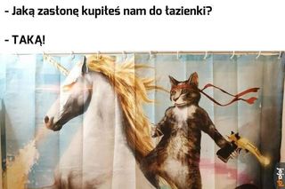 Dzień Kota 2025. Zobacz najśmieszniejsze memy z kotami w roli głównej! [17.02.2025]