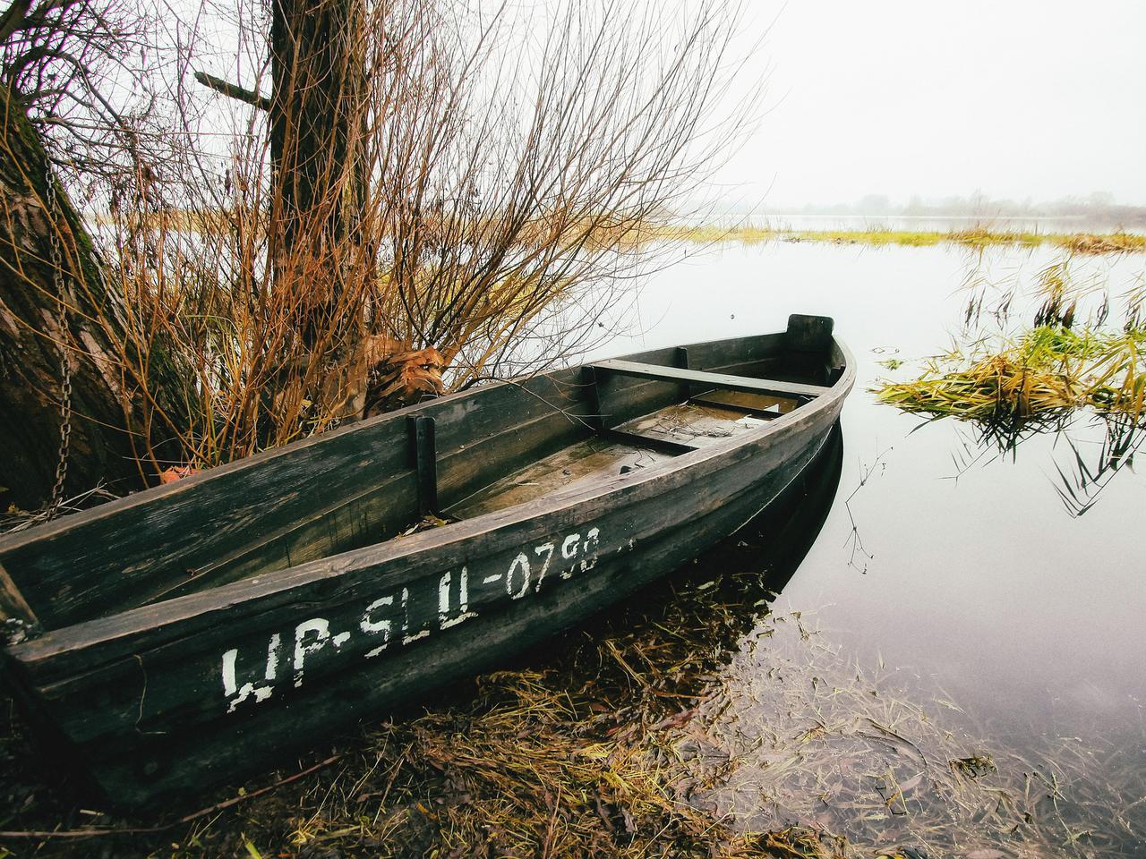 Ciało mężczyzny w Wiśle pod Płockiem! Zauważyli je wędkarze