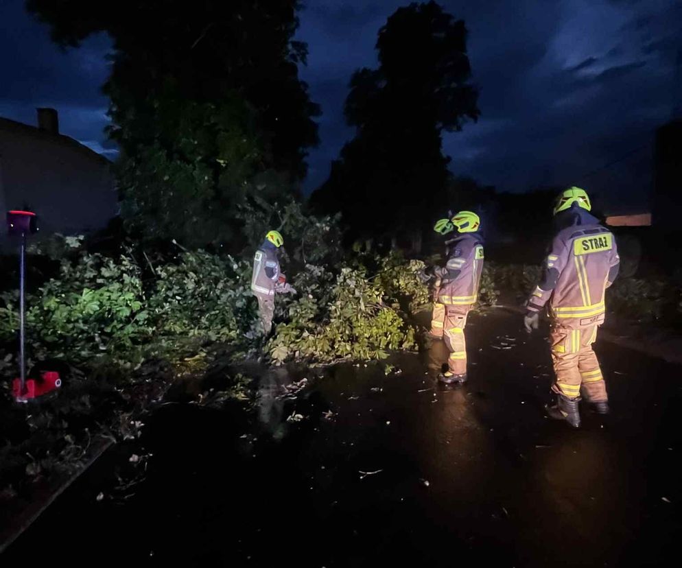 Prawie 500 interwencji strażaków w Wielkopolsce