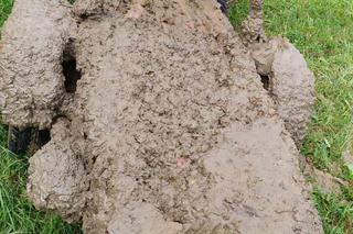  Ratownicy z GOPR Bieszczady, żeby pomóc choremu musieli przedrzeć się przez błoto