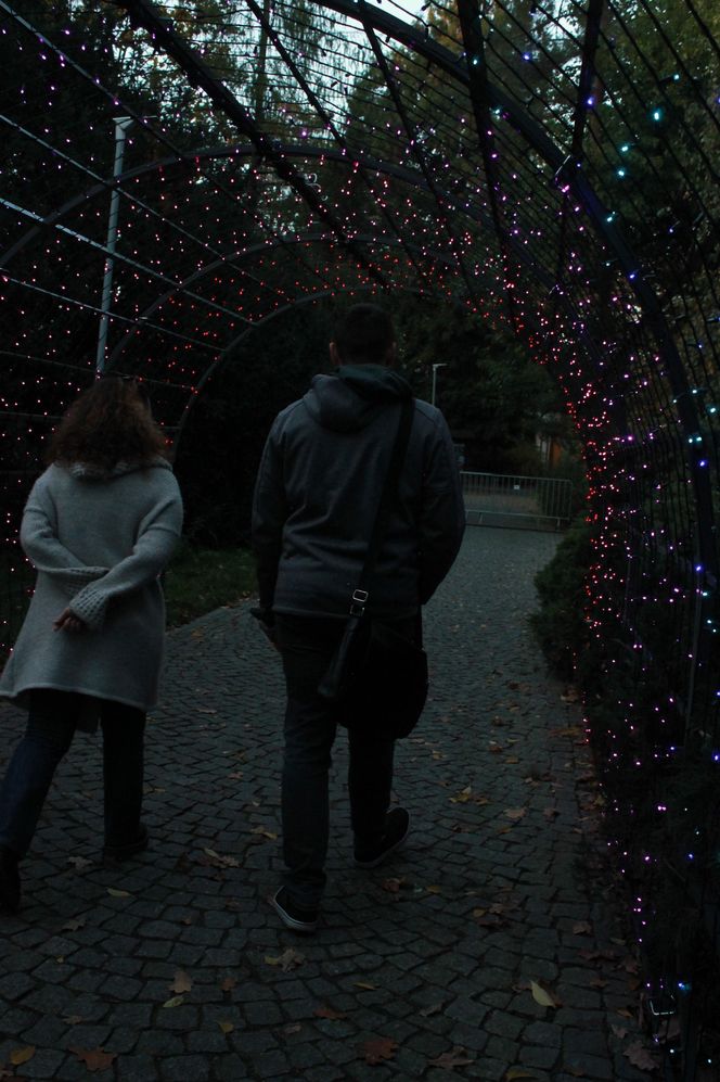 "Garden of Lights" ponownie rozświetlił wrocławskie zoo