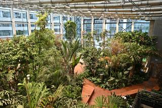 Ogród botaniczny wśród wieżowców