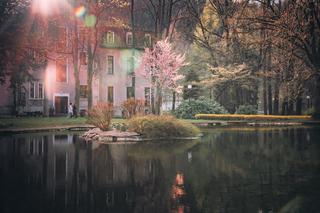 Najpiękniejsze uzdrowiska Dolnego Śląska. Tu odpoczniemy w wyjątkowej scenerii