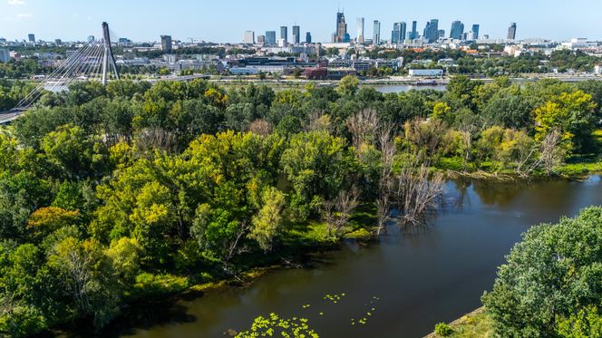 Port Praski w Warszawie z lotu ptaka