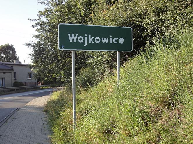 Wojkowice