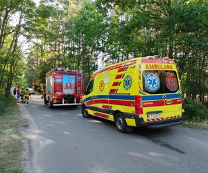 Wypadek pod Toruniem. Zakrwawiony kierowca wjechał autem w las