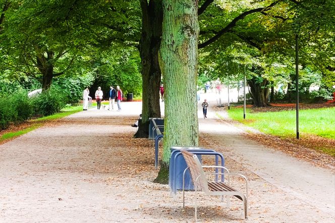 Usterki na Alei Fałata