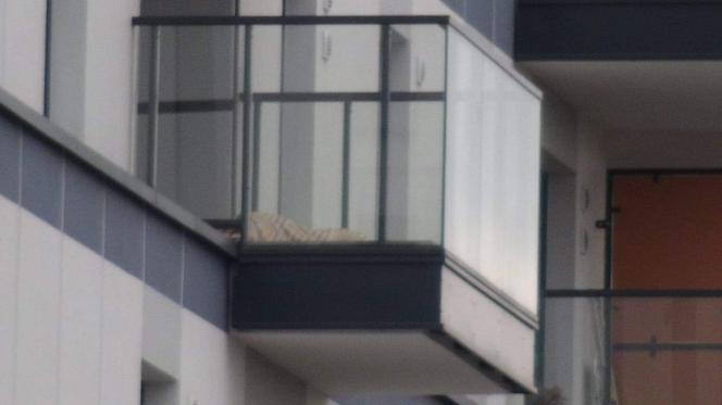 Ciało młodej kobiety znaleziono na balkonie na trzecim piętrze nowego bloku