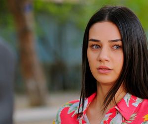 Miłość i nadzieja odc. 266. Kuzey, Bahar