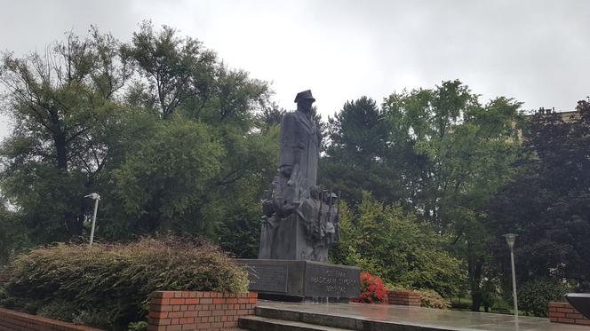 Rzeszów walczy ze szczurami w parku