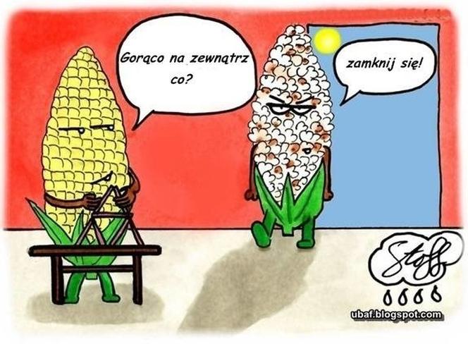 Czy do pokoju Hobbit wrzucił pierścień? Tak wyglądają upały w Polsce. MEMY
