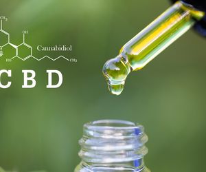 CBD - co to jest i jak działa? Właściwości lecznicze CBD