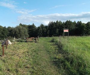 Głazowisko Bachanowo w woj. podlaskim