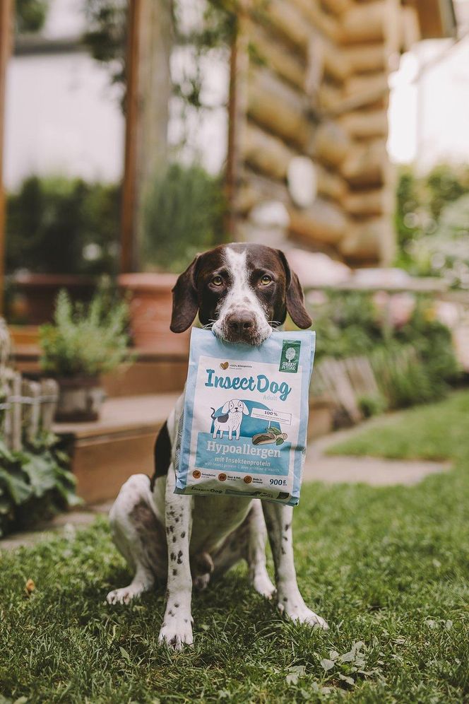 Nowe karmy dla zwierzaków - Josi oraz Green Petfood