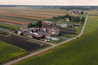 Dariusz - Rolnik szuka żony