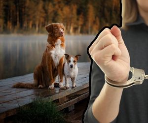 Zagłodziła psa na śmierć! 22-latka aresztowana. Służby mówią o szczególnym okrucieństwie