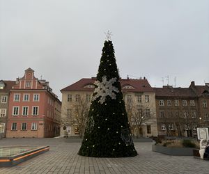 Świąteczne ozdoby w Poznaniu