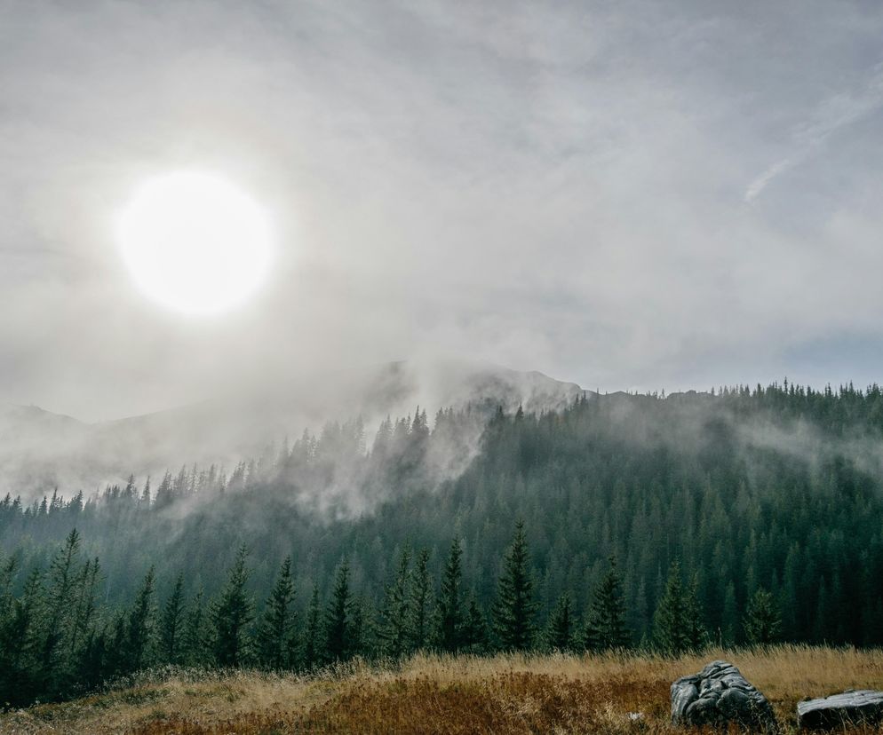 Tatry skąpane w jesiennej aurze. Tak wyglądają obecnie najpiękniejsze polskie góry [GALERIA]