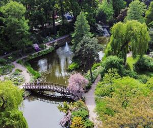 Ogród Botaniczny we Wrocławiu