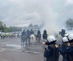 Konie, psy i wybuchy! Tak wyglądały ćwiczenia policjantów i strażników miejskich 