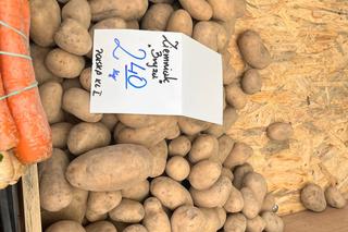 Ceny warzyw i owoców w Szczecinie