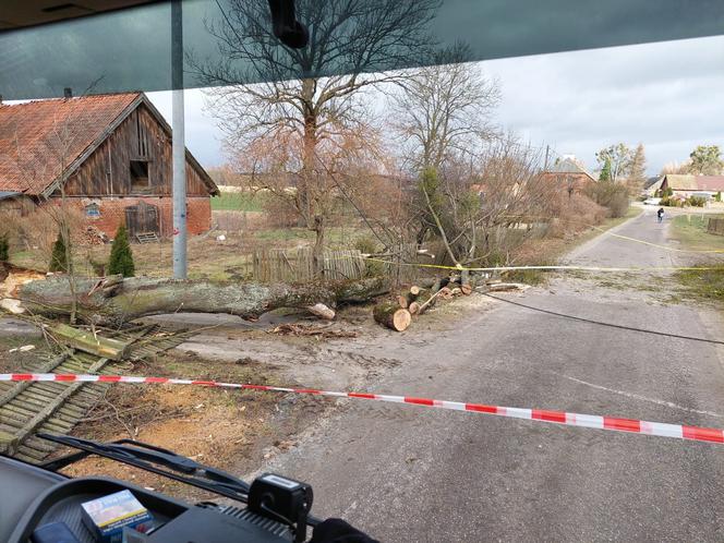 Szkody po Orkanie Eunice. Zrywało dachy, wyrywało grube drzewa, brakowało prądu