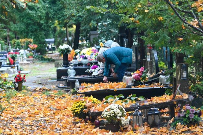 Porządki na Cmentarzu Centralnym w Szczecinie