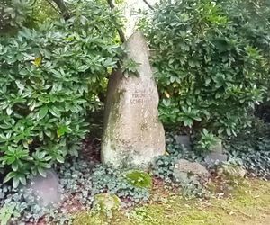 Ohlsdorfer Friedhof w Hamburgu