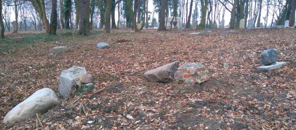 Wandale zniszczyli zabytkowy park